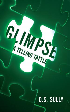Cover of the book Glimpse by D.C. Quillan Stone