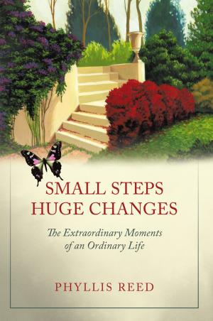 Cover of the book Small Steps, Huge Changes by John L. Sparks