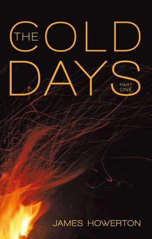 Cover of the book The Cold Days by Vernon Bargainer