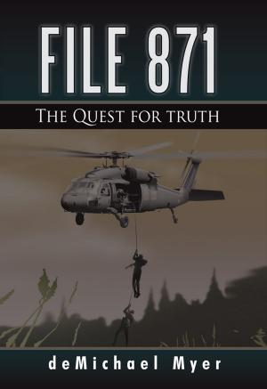Cover of the book File 871 by Aditya Mehta