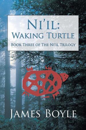 Cover of the book Ni'il: Waking Turtle by Lisa Wright DeGroodt