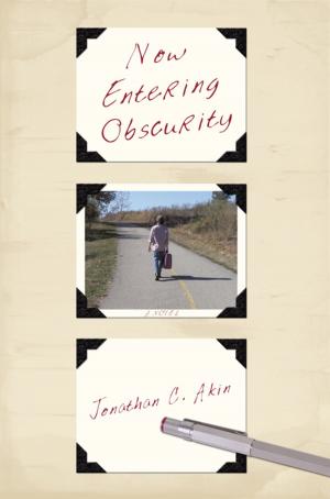 Cover of the book Now Entering Obscurity by Arthur W. Hoffmann