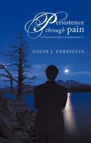 Cover of the book Persistence Through Pain by Shelley L. Jones-Hubbard