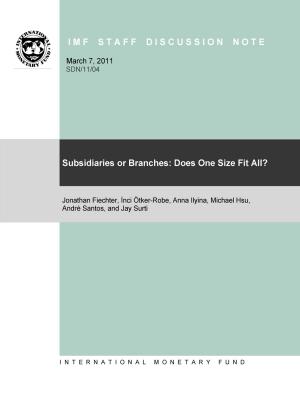 Cover of the book Subsidiaries or Branches: Does One Size Fit All? by Joachim Mr. Harnack, Sérgio Mr. Leite, Stefania Ms. Fabrizio, L. Mrs. Zanforlin, Girma Mr. Begashaw, Anthony Mr. Pellechio