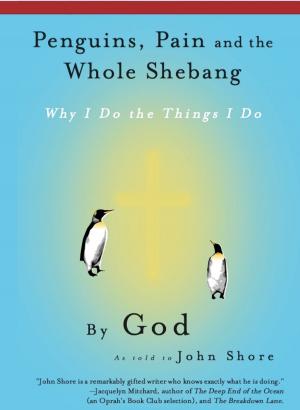 Cover of the book Penguins, Pain and the Whole Shebang: Why I Do the Things I Do, by God (as told to John Shore) by António Lizar
