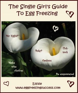 Cover of the book The Single Girl's Guide To Egg Freezing by Stephanie Haddad