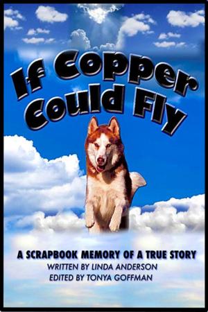Cover of the book If Copper Could Fly a true story by Gina Jarvis