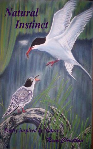 Cover of the book Natural Instinct by César Mejía Chiang