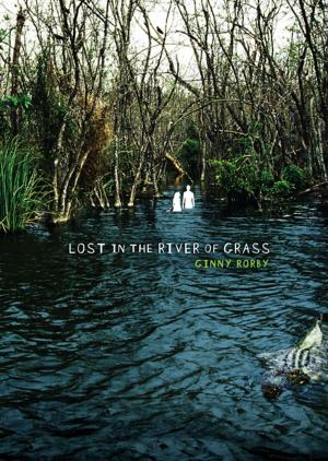 Cover of the book Lost in the River of Grass by Carrie Mesrobian