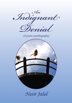 Cover of the book An Indignant Denial by Jerome Teelucksingh