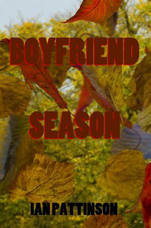 Book cover of Spinneyhead Shorts 1- Boyfriend Season