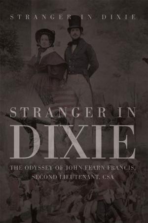 Cover of the book Stranger in Dixie by Christian Manning