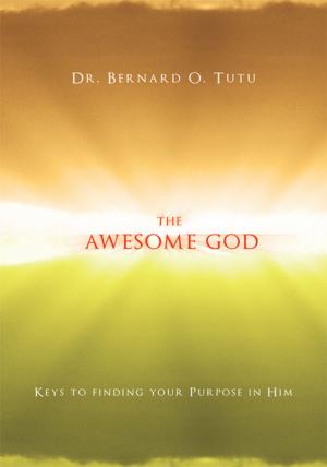 Cover of the book The Awesome God by Missionary Paula