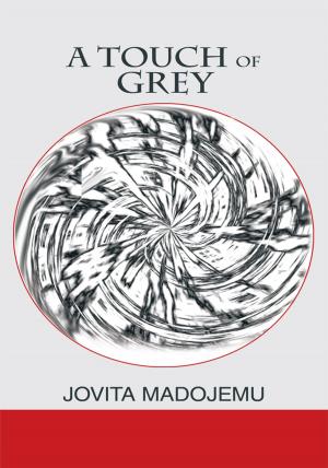 Cover of the book A Touch of Grey by Gérard de Villiers