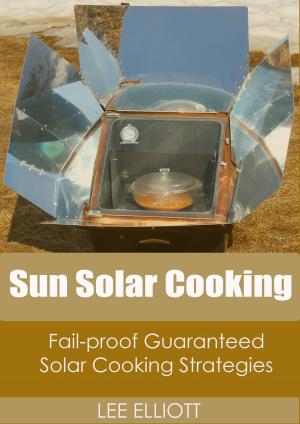 Cover of the book Sun Solar Cooking: Fail-Proof, Guaranteed Solar Cooking Strategies by David Rovics