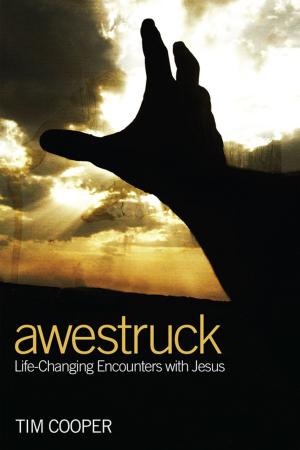 Cover of the book Awestruck by 