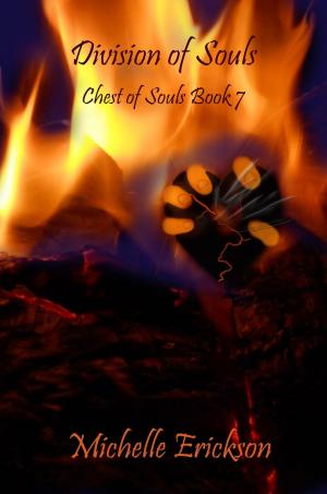 Cover of the book Division of Souls by C. M. Barrett