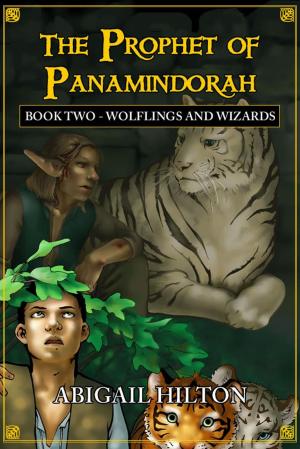Cover of the book The Prophet of Panamindorah, Book 2 Wolflings and Wizards by Abigail Hilton