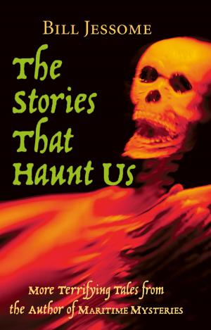 Cover of the book The Stories That Haunt Us by Elizabeth Goudie