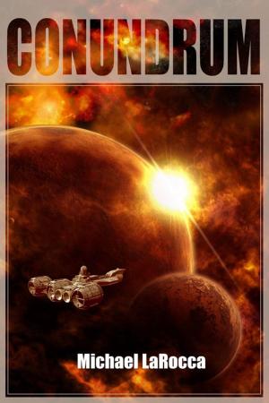 Cover of the book Conundrum by Brian Burt
