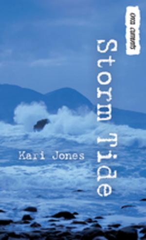 Cover of the book Storm Tide by Dr. Jillian Roberts