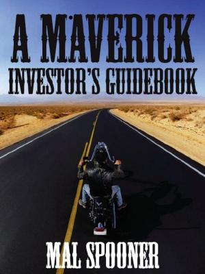 Cover of the book A Maverick Investor's Guidebook by Blair Anderson