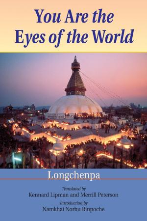 Cover of the book You Are the Eyes of the World by Sheng Yen