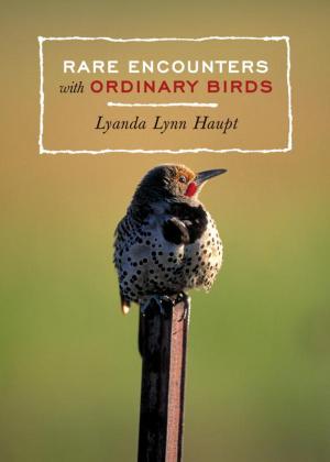 Cover of the book Rare Encounters with Ordinary Birds by Tarah Wheeler