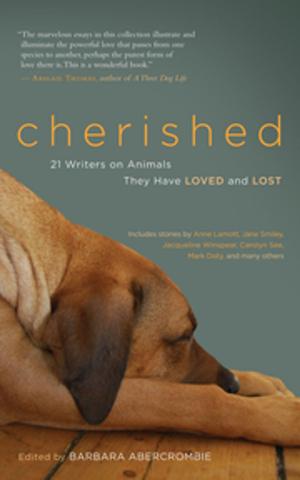 Cover of the book Cherished by Carol Spenard LaRusso