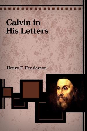 Cover of the book Calvin in His Letters by Santiago Ariño Granell