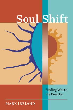 Cover of the book Soul Shift by Larry Malerba, D.O.