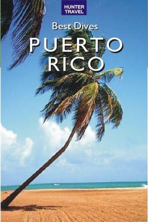 Book cover of Best Dives of Puerto Rico