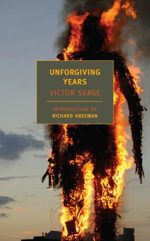 Cover of the book Unforgiving Years by Michael Ende