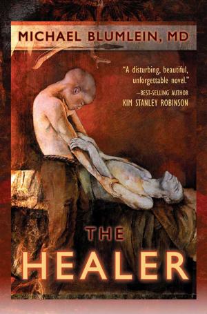 Cover of the book The Healer by Julie E. Czerneda