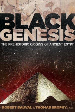 Book cover of Black Genesis