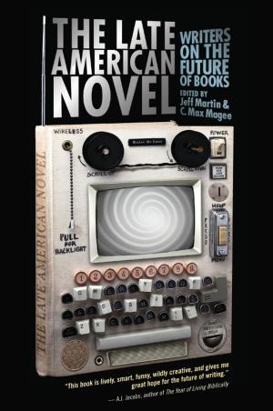 bigCover of the book The Late American Novel by 