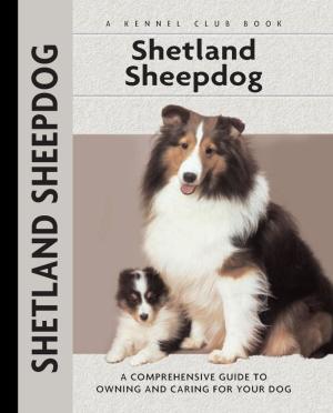 Cover of the book Shetland Sheepdog by J. Piet Hussel