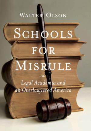 Cover of the book Schools for Misrule by Abby W. Schachter