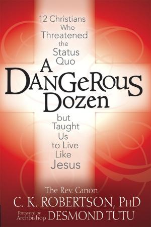 Cover of the book A Dangerous Dozen by Anna Maria Horner