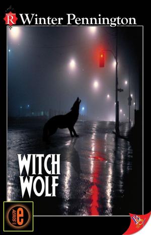 Cover of the book Witch Wolf by Lea Santos