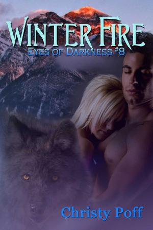 Cover of the book Winter Fire by Christy Poff