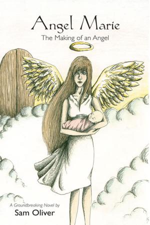Cover of the book Angel Marie: The Making of an Angel by F.L. Richards