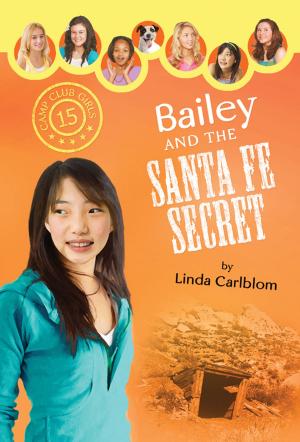 Cover of the book Bailey and the Santa Fe Secret by Wanda E. Brunstetter