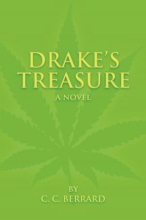Cover of the book Drake's Treasure by Robert Krueger