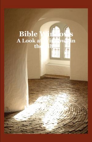 bigCover of the book Bible Windows by 