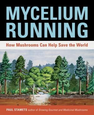 Cover of the book Mycelium Running by ゆか ろじえ