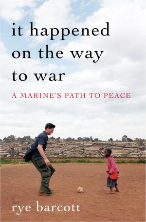 Cover of the book It Happened on the Way to War by Dr. Brinda Charry