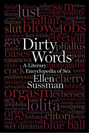 Cover of the book Dirty Words by Paul Lowe, Robert Hariman, Dr Jennifer Good