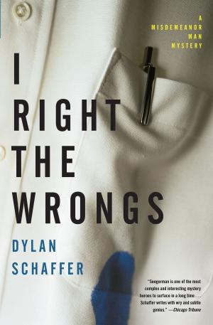 Cover of the book I Right the Wrongs by Roger Alan Bonner