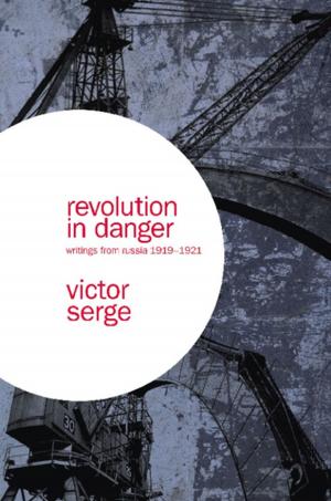 Cover of the book Revolution In Danger by Brandon Weber